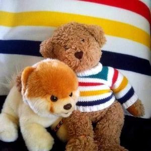 Meet your Posher, Benie